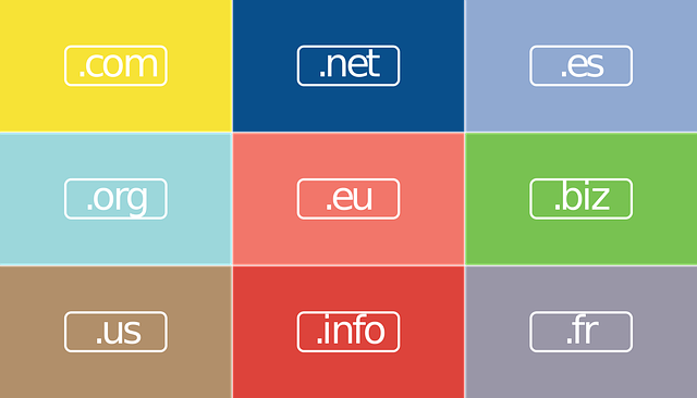 How to Register a Domain Name in the UAE 